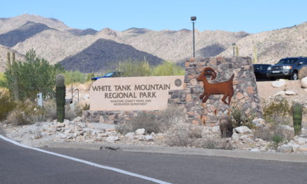 White Tank Mountain Regional Park